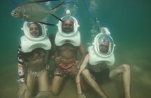 Underwater Sea Trek in San Juan: Explore Beneath the Waves