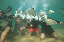 Underwater Sea Trek in San Juan: Explore Beneath the Waves