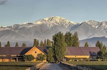 Luján Gourmet Wine Tour – Shared