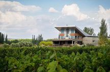 Luján Gourmet Wine Tour – Shared