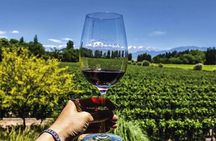 Luján Gourmet Wine Tour – Shared