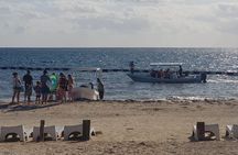 Snorkeling tour Express in Cancun with Certified Guide