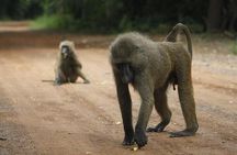 Shai Hills Reserve and Boat Cruise Tour