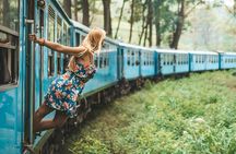 2 Day Tour of Udawalawe & Ella with Up Country Scenic Train Ride - All Inclusive
