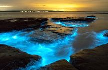Bioluminescence in Kayak Holbox