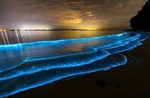 Bioluminescence in Kayak Holbox