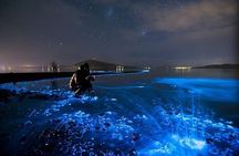 Bioluminescence in Kayak Holbox