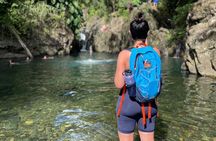 El Yunque Small Group Tour with Luquillo Lunch Stop and Transport