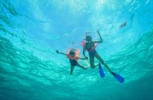 Unlimited Experience to Isla Mujeres! Adventure from Cancun