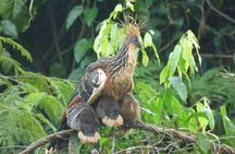 MANU 4 Days to National Park Ecological Tour