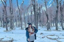 Amazing Kashmir Tour - 03 Nights & 04 Days