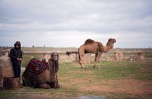 All-inclusive Private Guided 2-day Tour of Sanliurfa