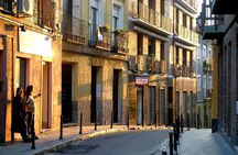 Lavapiés: The most multicultural neighbourhood of Madrid, Private Walking Tour