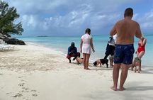 Private Swim With Pigs and Snorkeling in Paradise Tour