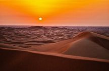 Stargazing in the Desert from Riyadh with Dinner