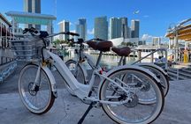 Electric Bike Rental Miami Beach
