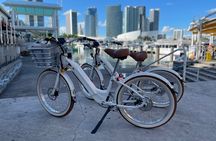  Electric Bike Rental Miami Beach