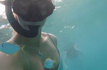 Guided Snorkeling adventure in San Juan 