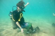 Discover Scuba Diving in San Juan, for first time divers