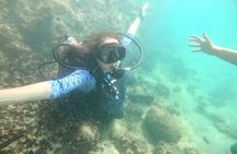 Discover Scuba Diving in San Juan: Perfect for First-Time Divers