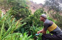 Santiago Island: Hiking Serra Malagueta Natural Park Gongon & Hortelã 