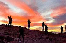 Small Group Teide National Park Volcanic and Forest Wonders