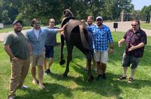 Private Kentucky Bourbon Trail - The Outlaws and Inlaws Tour