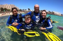 Scuba Diving (Basic Diver - 2 dives)