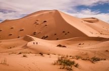 4 Day Desert tour from Marrakech to Fez