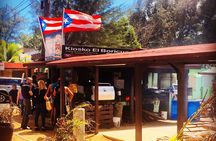 Discovering Puerto Rico: Lifestyle, Art, and Cultural Tour