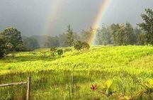 Magical Creatures Sanctuary Private Tour