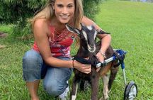 Magical Creatures Sanctuary Private Tour