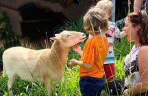 Magical Creatures Sanctuary Private Tour