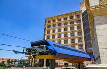 Explore Taif : A full day Journey with lunch from Jeddah 