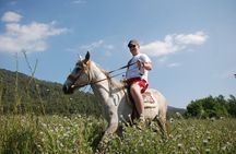 Horse Riding Tour in Bodrum with Hotel Pick Up
