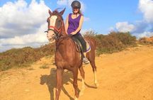 Horse Riding Tour in Bodrum with Hotel Pick Up