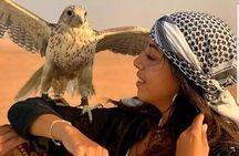 Desert Safari With BBQ Dinner, Camel Ride, Sand Boarding In Dubai