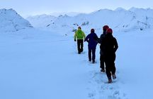 Ice Cave Katla, South Coast Waterfalls & Black Sand Beach Private