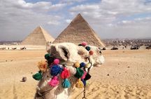 Privet tour Giza pyramids ,sphinx and Saqqara