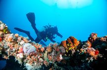 Local reef dives for certified divers