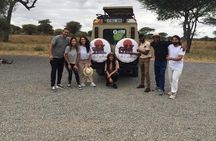 4 days safari in Tanzania