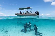 Romantic dive in the lagoon of Bora Bora. Private instructor on a shared boat