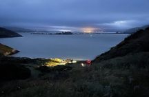 Guided Evening Penguin Viewing Otago Peninsula, Dunedin, New Zealand
