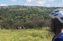 Half Day E-Biking with Wildlife Watching in Pretoria
