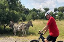 Half Day E-Biking with Wildlife Watching in Pretoria