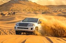 VIP Evening Desert Private Safari Tour in Dubai