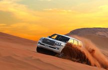 4-Hour Private Morning Desert Safari Jeep Admiring Desert Flora and Fauna