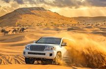 4-Hour Private Morning Desert Safari Jeep Admiring Desert Flora and Fauna