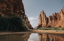 Wadi Al Disah Full Day Tour with Hotel Pickup