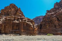 Wadi Al Disah Full Day Tour with Hotel Pickup